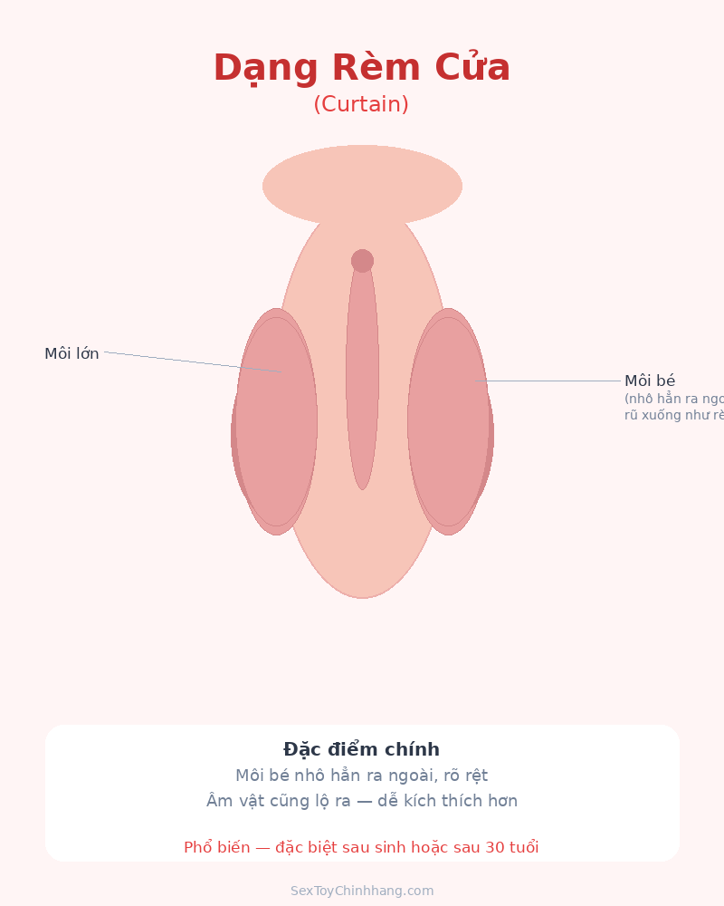 hinh-dang-vung-kin-curtainhinh-dang-vung-kin-curtain